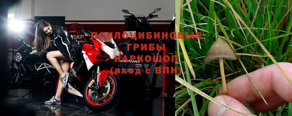 a pvp Липки