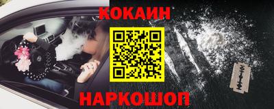 стафф Гусев