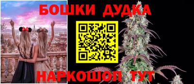 стафф Гусев