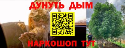 стафф Гусев