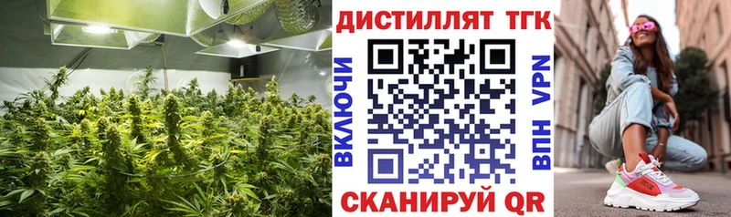 где продают Чебоксары Дистиллят ТГК жижа