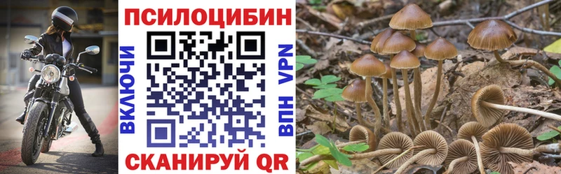 Галлюциногенные грибы прущие грибы  Чебоксары 