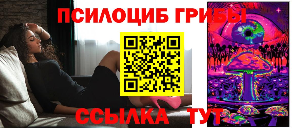 Чебоксары  Галлюциногенные грибы Psilocybe  Вход с VPN 